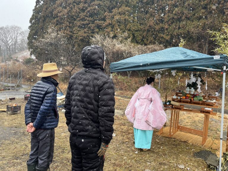 海の見える家造り